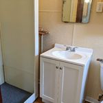 Bathroom vanity and shower.